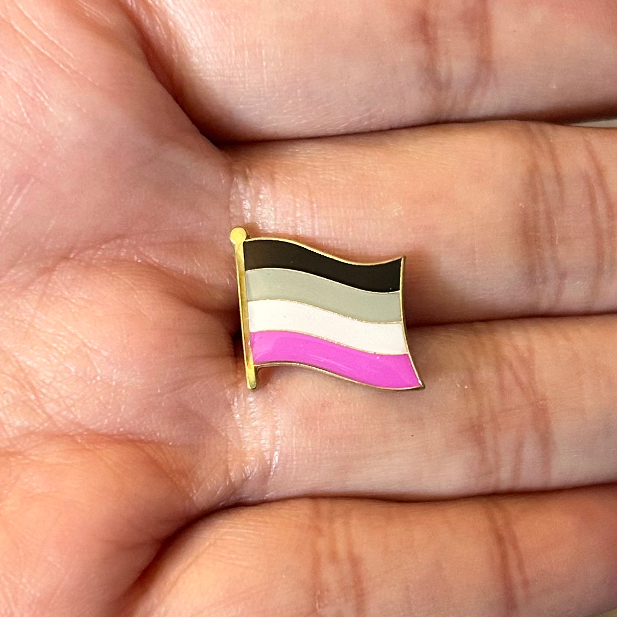 Asexual Pride Flag Enamel Pin